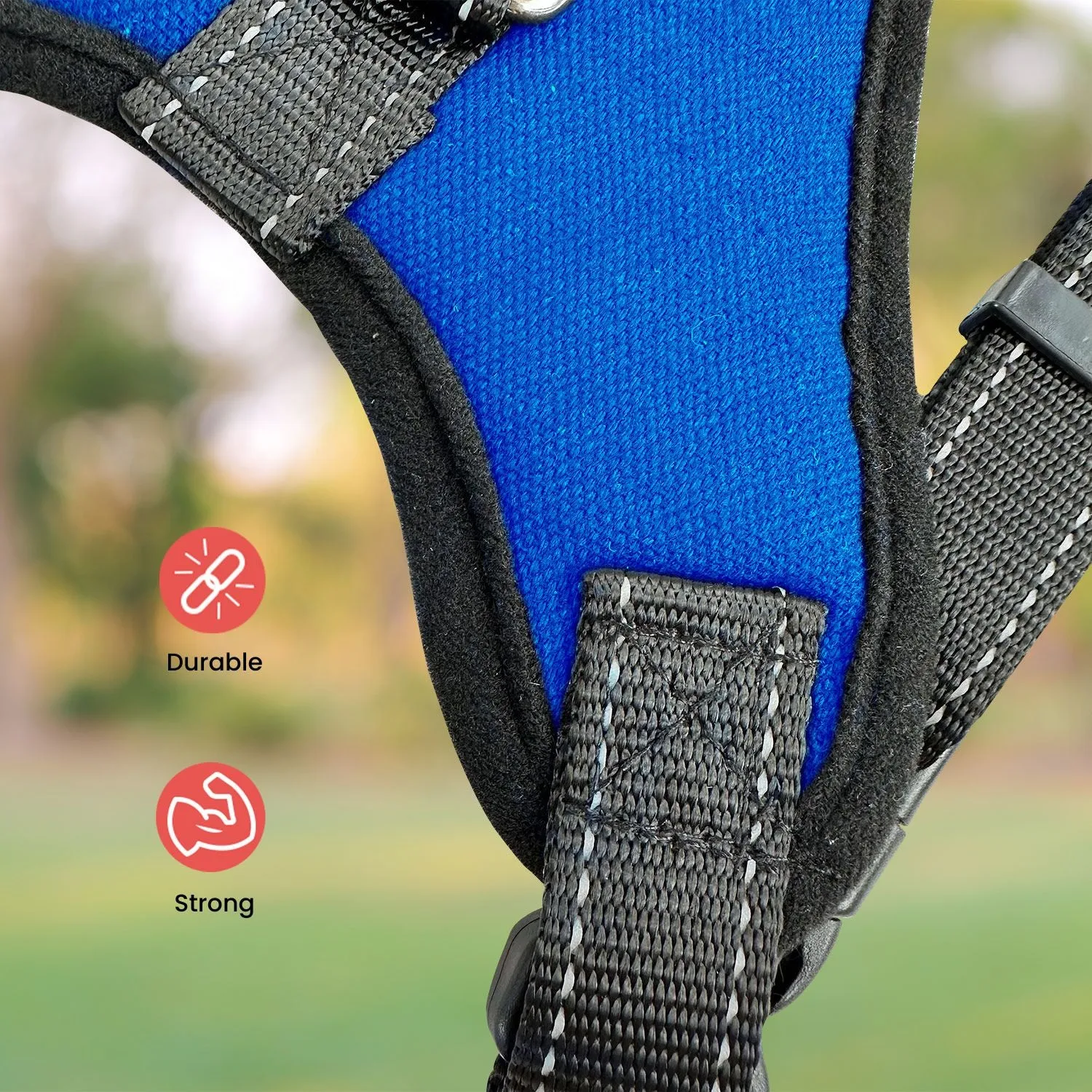 Durable Adjustable Dog Harness, Blue, Size L | FLOOFI