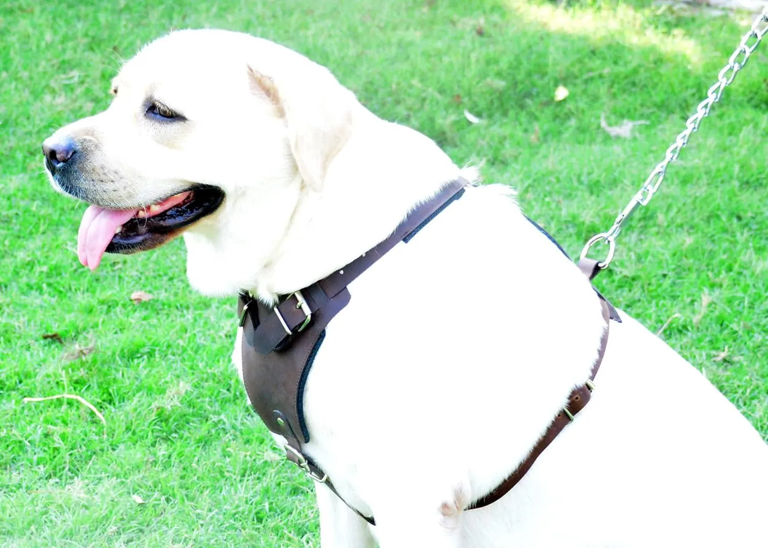 Horse Brown Belt Style Buckles Leather Dog Harness