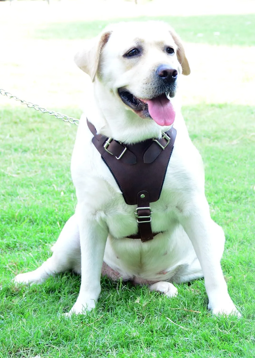 Horse Brown Belt Style Buckles Leather Dog Harness