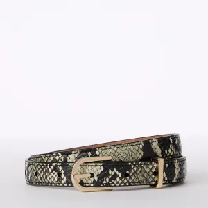 Skinny Leather Gold Buckle Belt